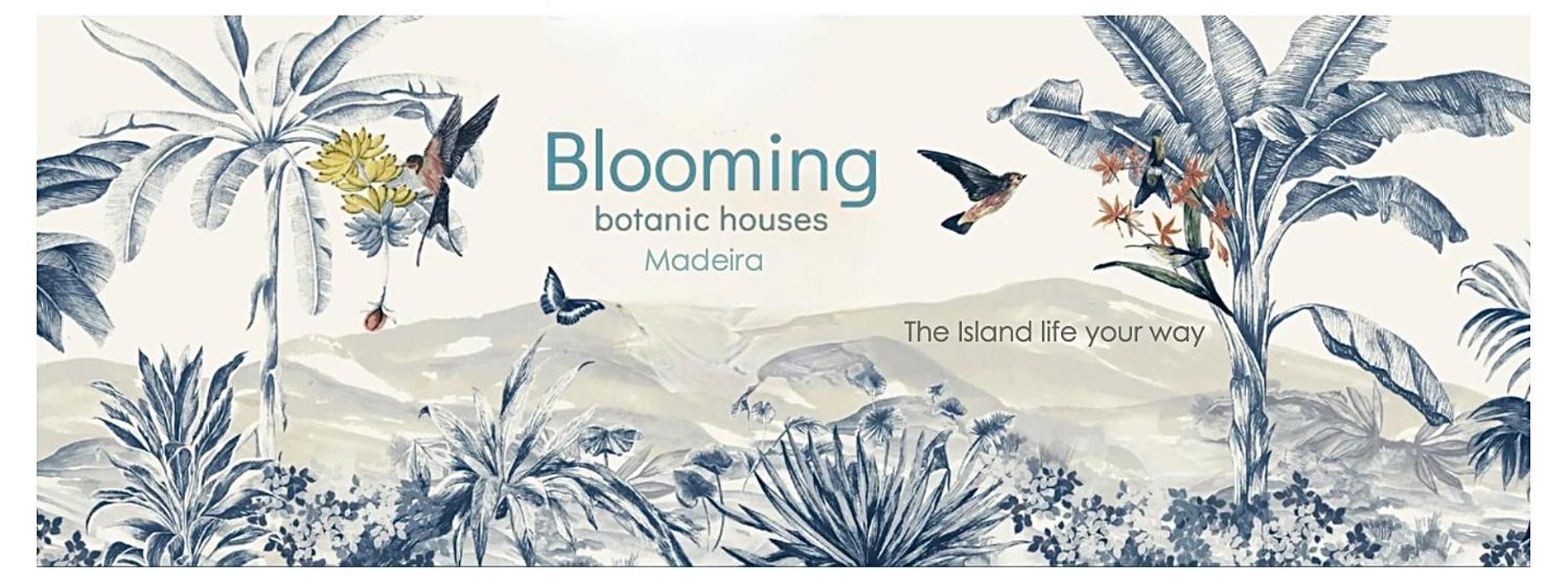 Blooming Botanic Houses Estreito Da Calheta Eksteriør billede