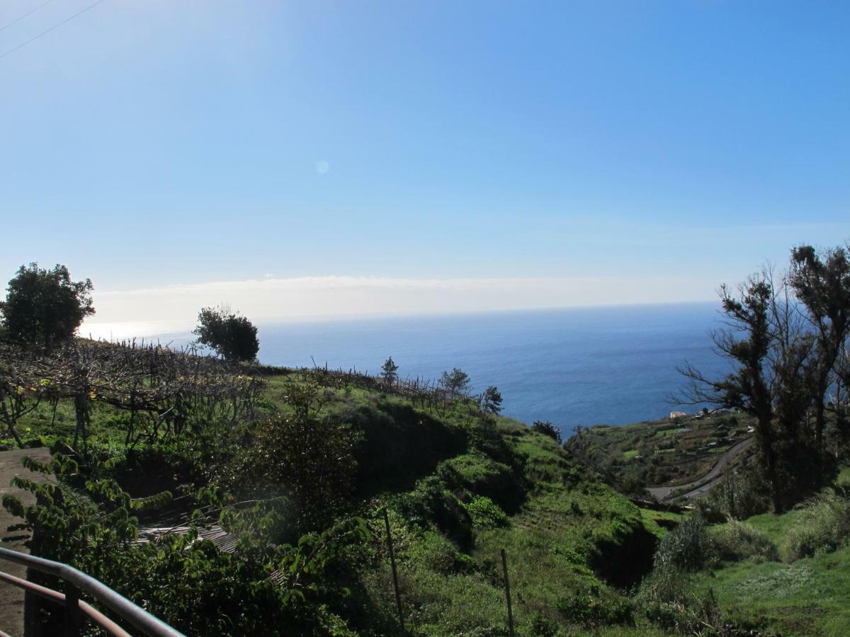 Blooming Botanic Houses Estreito Da Calheta Eksteriør billede