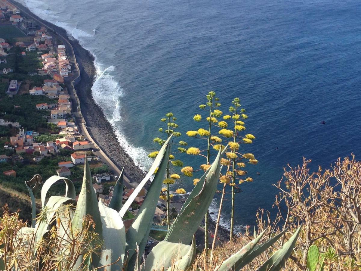 Blooming Botanic Houses Estreito Da Calheta Eksteriør billede
