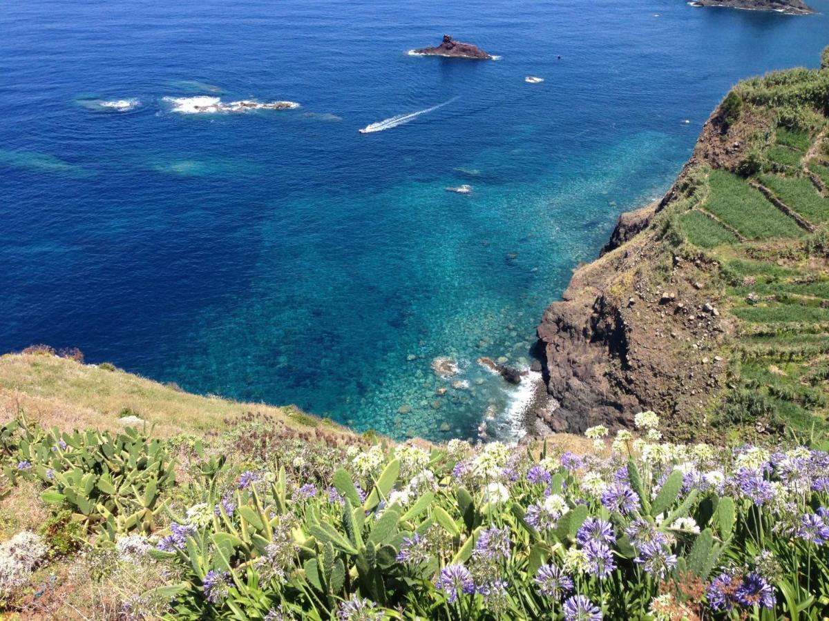 Blooming Botanic Houses Estreito Da Calheta Eksteriør billede