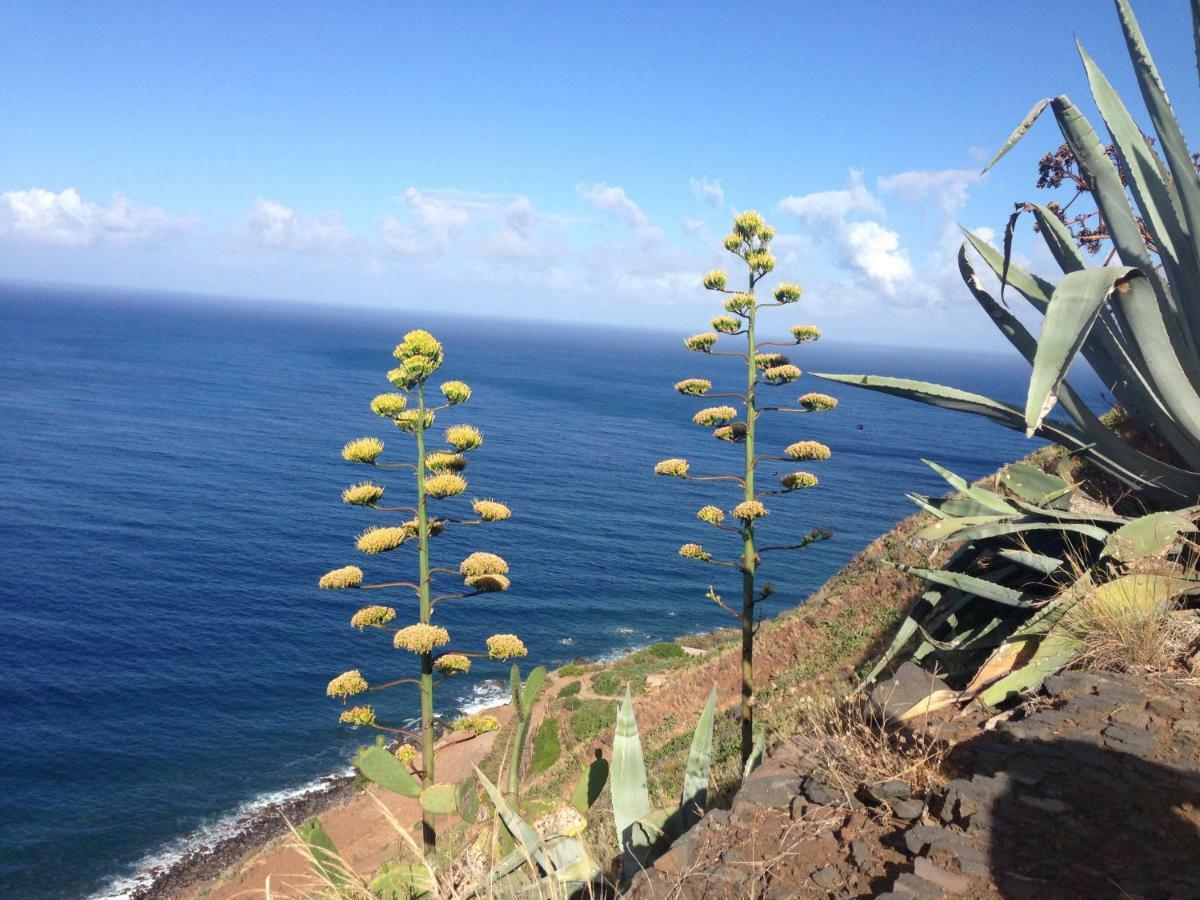 Blooming Botanic Houses Estreito Da Calheta Eksteriør billede