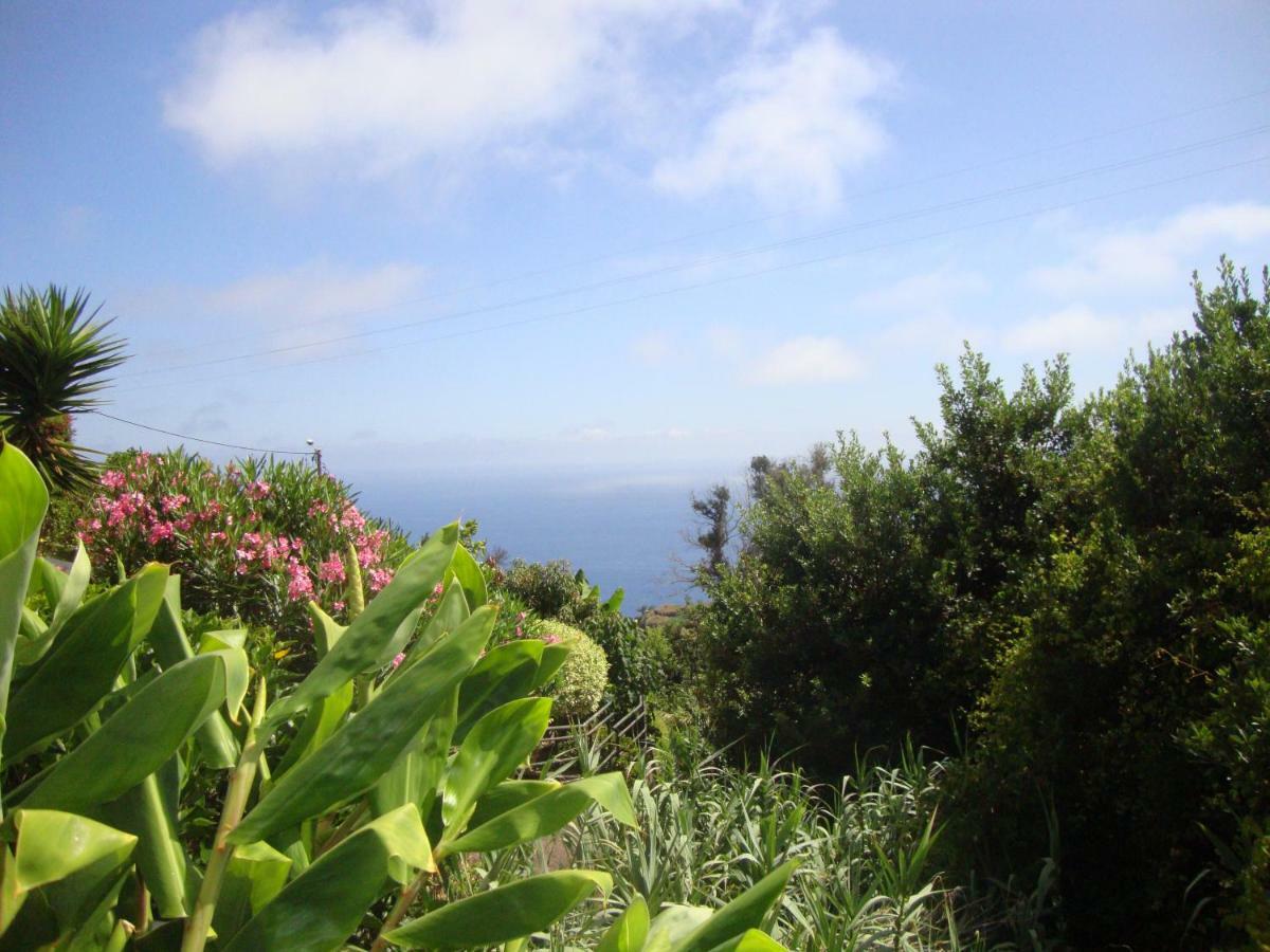 Blooming Botanic Houses Estreito Da Calheta Eksteriør billede