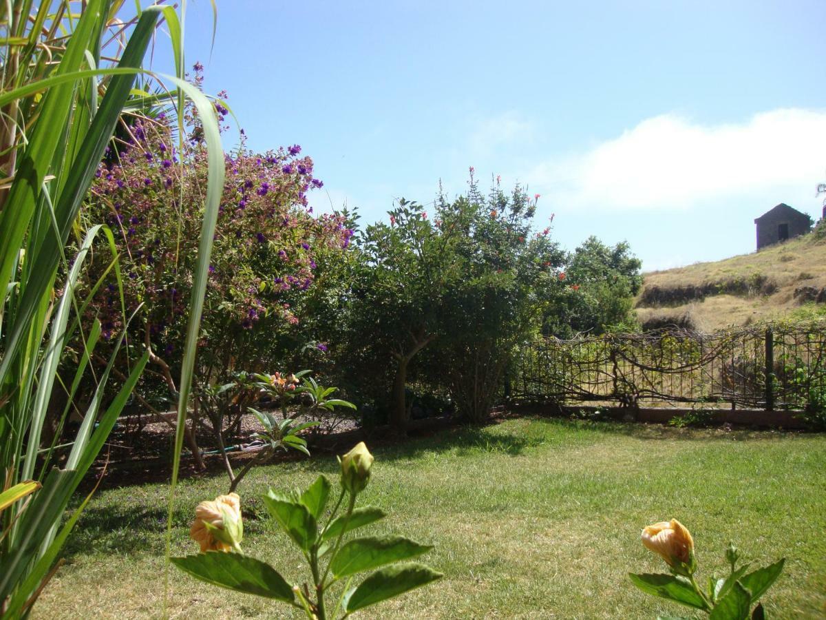 Blooming Botanic Houses Estreito Da Calheta Eksteriør billede